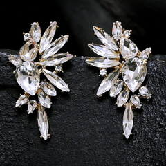 Sparkles Earrings (CR-08)