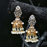 Round Radiance Jhumki - (JK-20) Chikoo