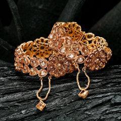 Floral Fusion Zircon Bangles - BN-33 Chikoo