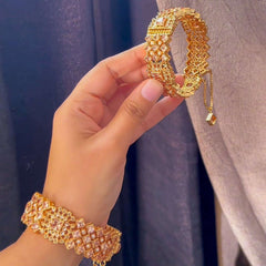 Royal Empress Zircon Bangles - BN-34 Chikoo