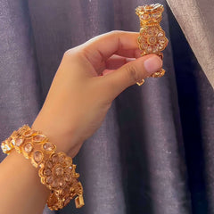 Floral Fusion Zircon Bangles - BN-33 Chikoo