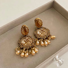 Norah Droplet Sparkling Earrings - ER-63