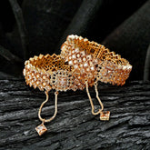 Royal Empress Zircon Bangles - BN-34 Chikoo