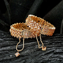 Royal Empress Zircon Bangles - BN-34 Chikoo