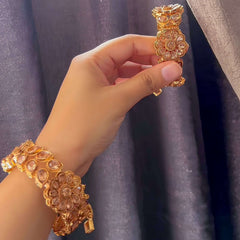 Floral Fusion Zircon Bangles - BN-33 Chikoo
